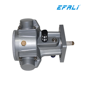 Pneumatic Motor